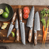 Black Wolf Series 5pcs Damascus Steel Chef, Bread,Santoku,Utility And Paring Knife